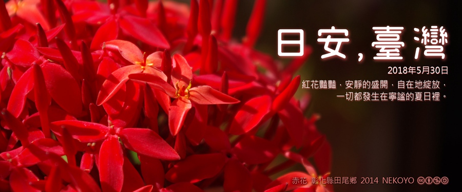 365 日安，臺灣之2018年5月30日